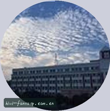 大鹏
