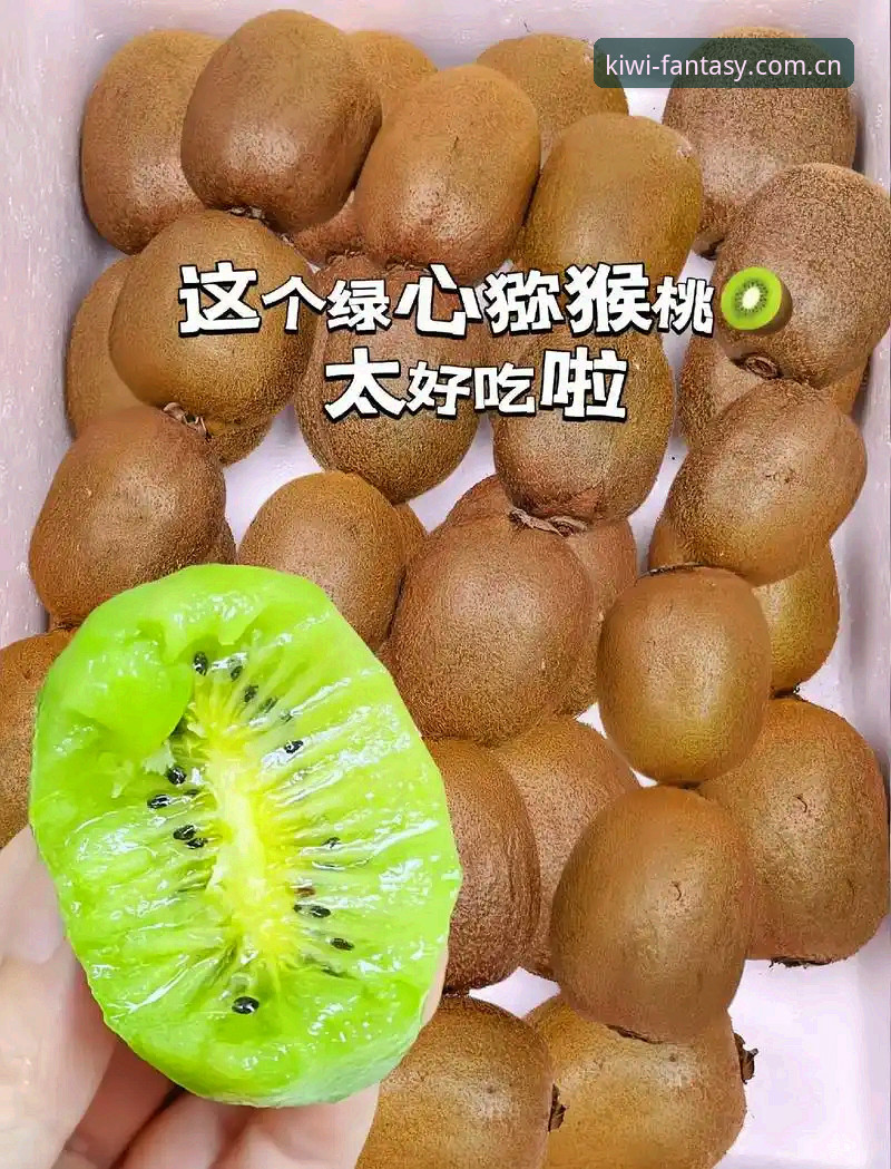 奇异果体育平台深度使用指南：从官网入口到赛事评分全解析